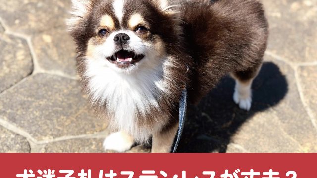 犬迷子札は首輪のどこにつける ハーネス併用時の付け方は 今週のペルル店長