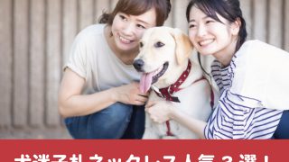 犬迷子札の手作りはレジンが簡単 プラ板プレートの激安作り方も紹介 今週のペルル店長