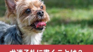 犬迷子札の手作りはレジンが簡単 プラ板プレートの激安作り方も紹介 今週のペルル店長