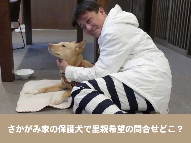 さかがみ家 里親募集 問合せどこ 保護犬譲渡会の最新情報はsnsで告知 坂上どうぶつ王国 今週のペルル店長