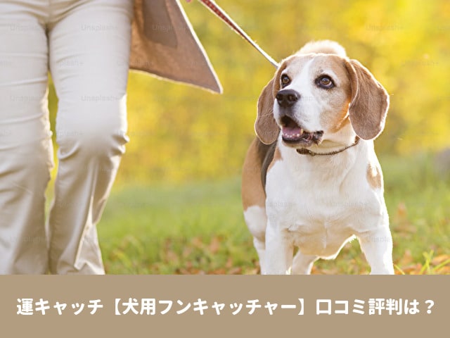 運キャッチ【犬用フンキャッチャー】口コミ評判は？アウトドア・お散歩